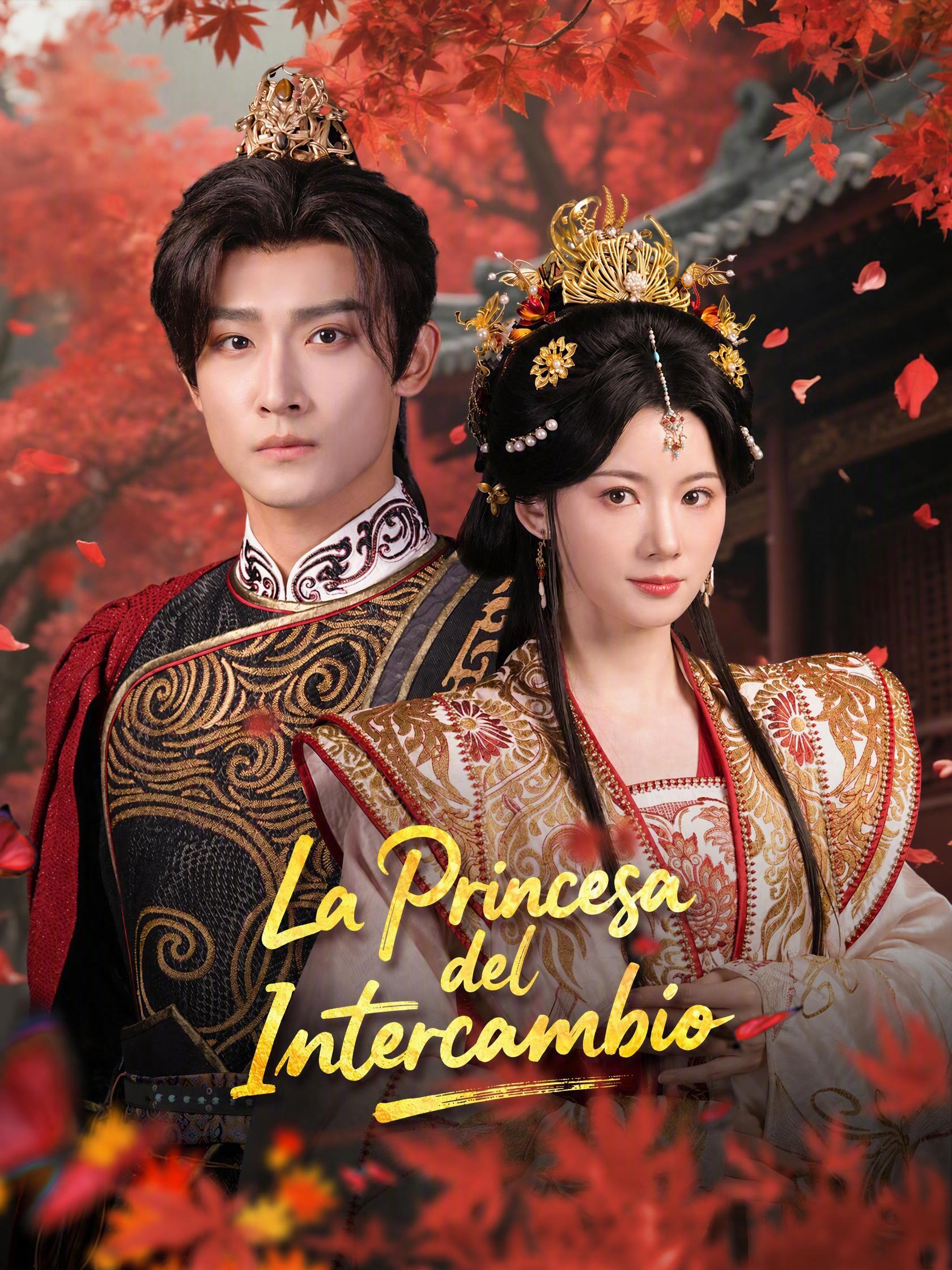La princesa del intercambio