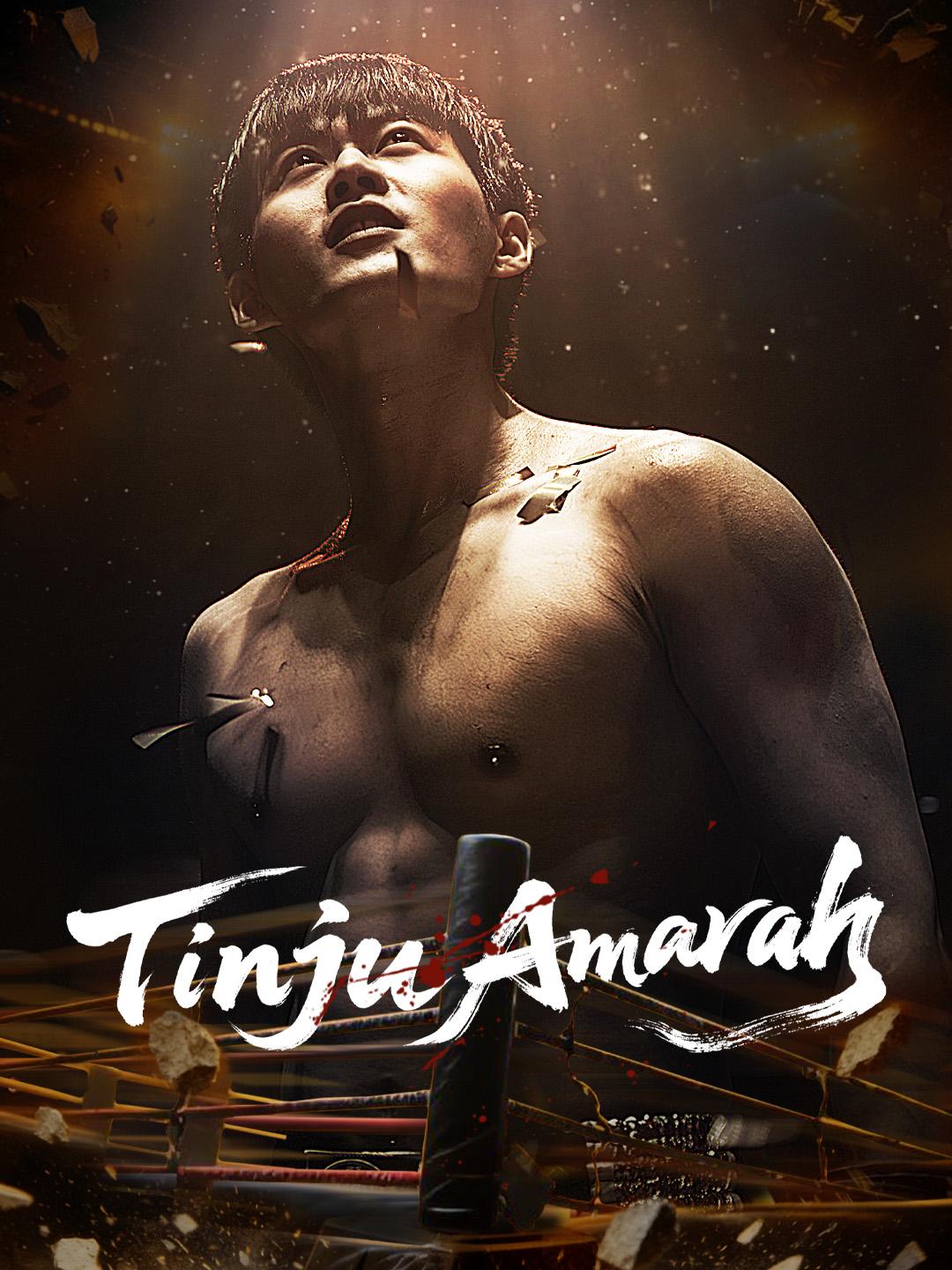 Tinju Amarah