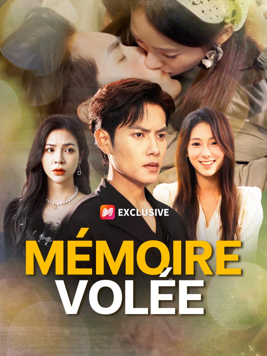 MÉMOIRE VOLÉE