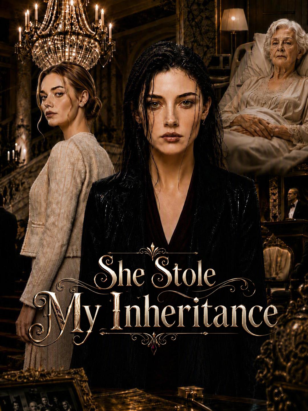 She Stole My Inheritance